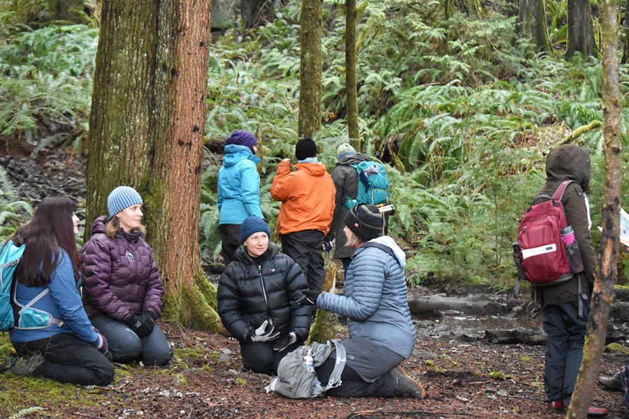 COMOX VALLEY RECORD: Cumberland nature-based preschool hosts forest practitioner course